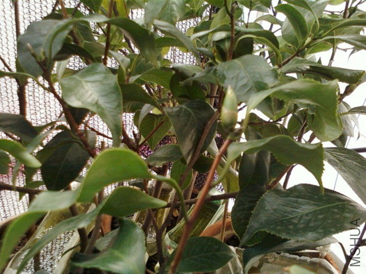 ��Ƭ-0125.jpg