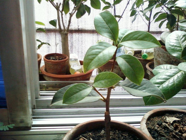 ��Ƭ-0122.jpg