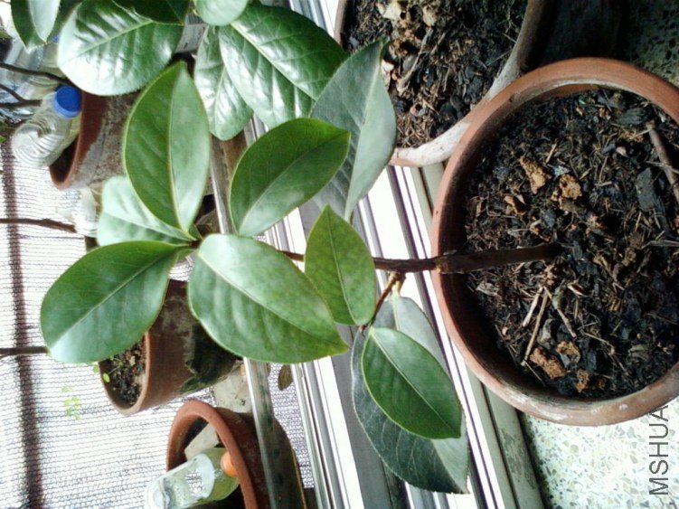 ��Ƭ-0120.jpg