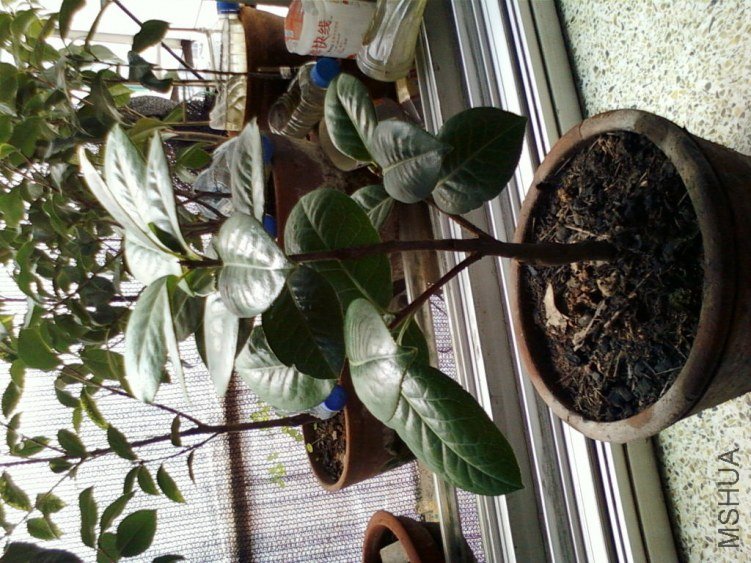 ��Ƭ-0119.jpg