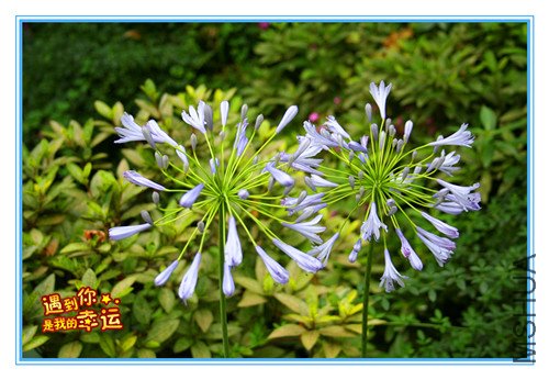 ��Ƭ 011_����.jpg