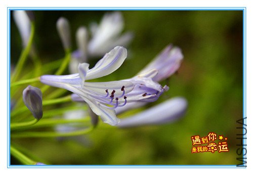 ��Ƭ 014_����.jpg