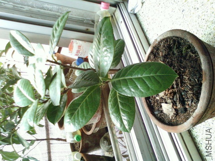 ��Ƭ-0116.jpg