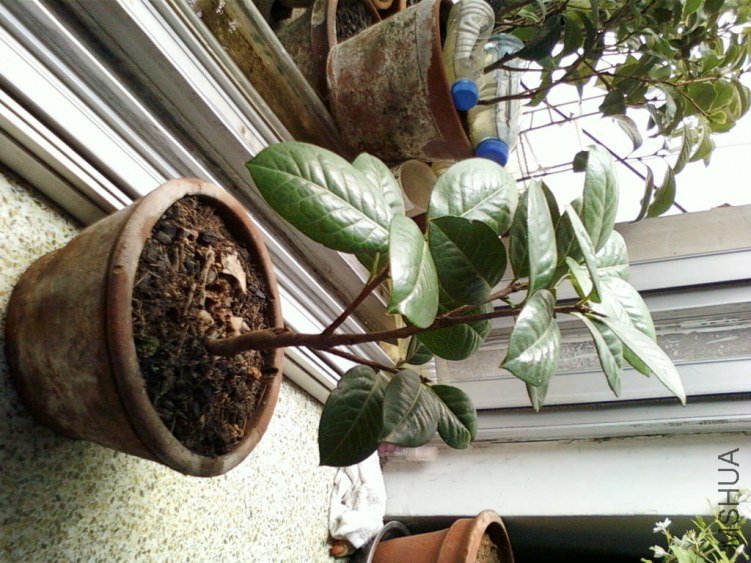 ��Ƭ-0114.jpg