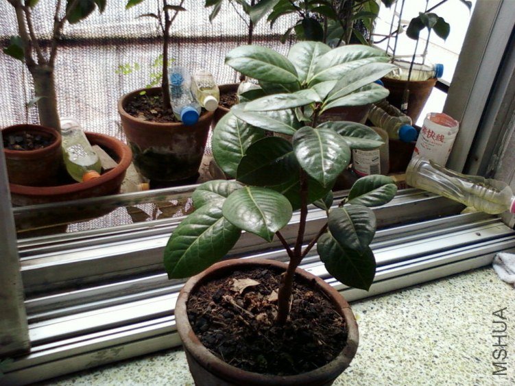 ��Ƭ-0113.jpg