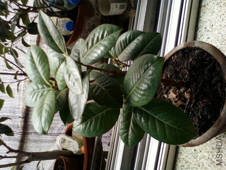 ��Ƭ-0112.jpg