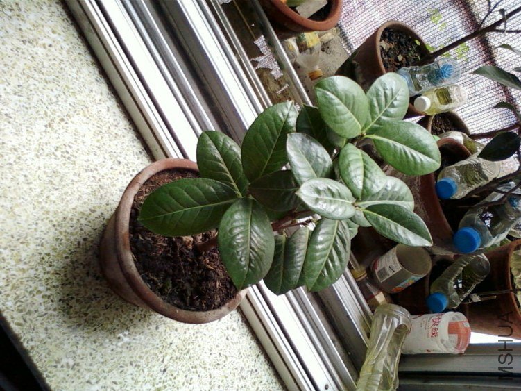 ��Ƭ-0111.jpg