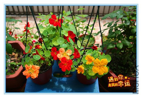 ��Ƭ 103_���������� ������.jpg