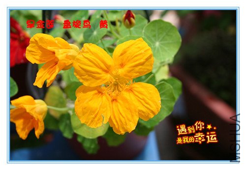 ��Ƭ 106_���������� �������.jpg