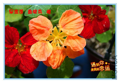 ��Ƭ 111_������.jpg