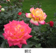QQ��ͼ20120629092739.JPG