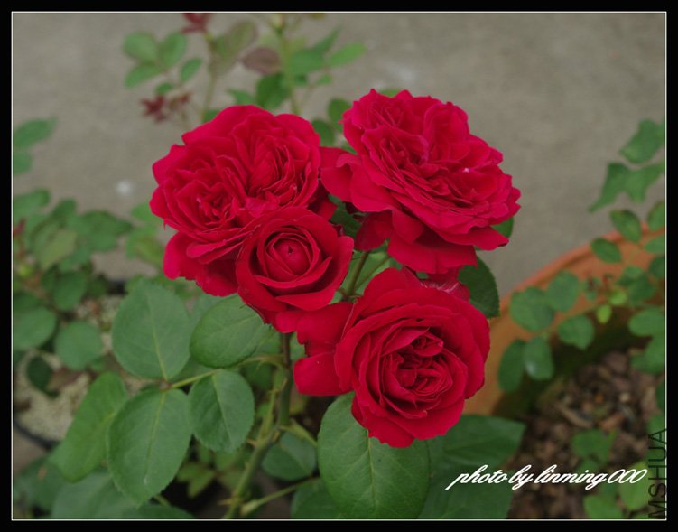 ���� (2) IMGP8192 ����.jpg