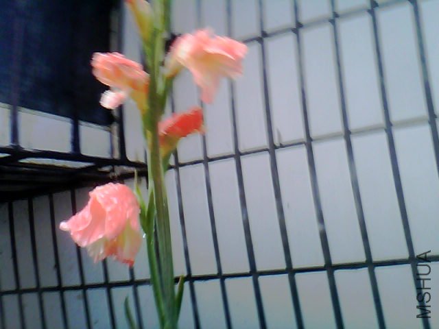 20120628_1434_0.jpg
