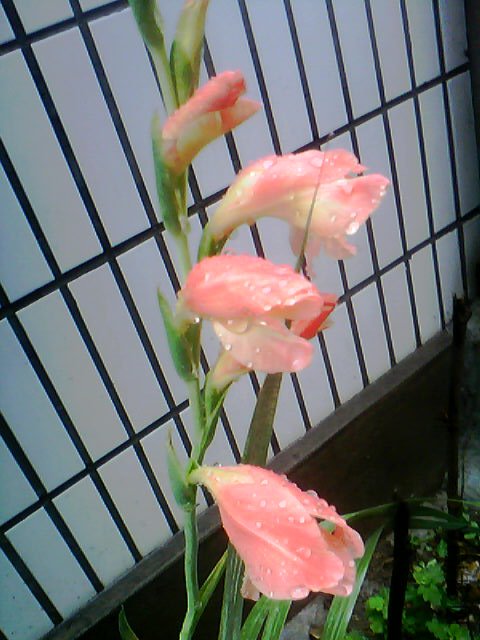 20120628_1434_1.jpg