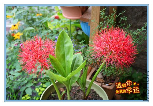 ��Ƭ 006_����2.jpg