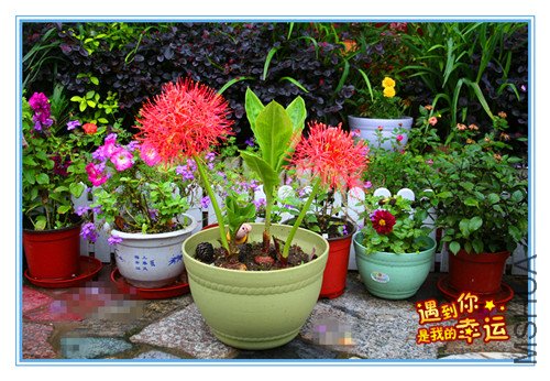 ��Ƭ 011_����.jpg