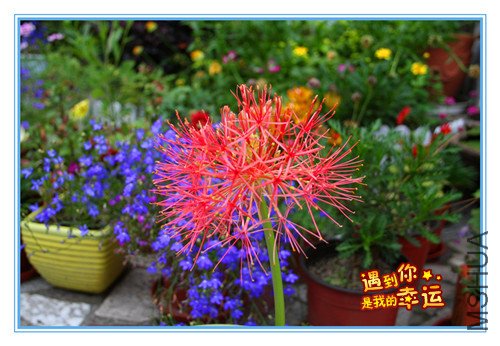 ��Ƭ 011_����2_����.jpg