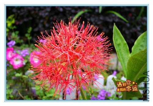 ��Ƭ 013_����.jpg