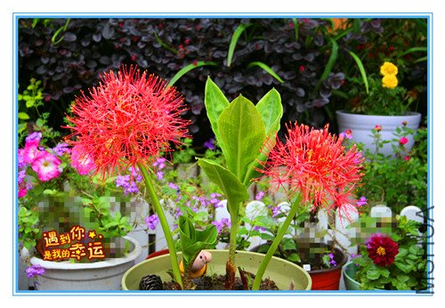 ��Ƭ 012_����1.jpg