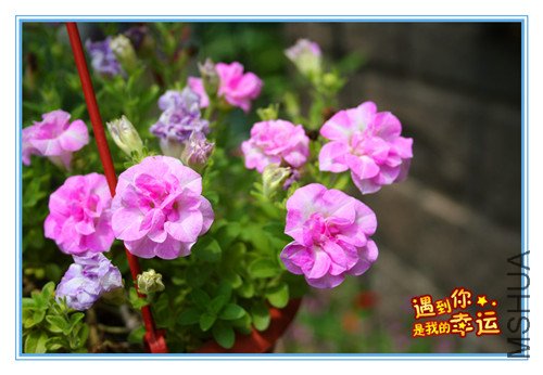 ��Ƭ 031_����2.jpg