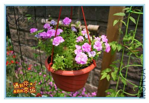 ��Ƭ 029_������1.jpg