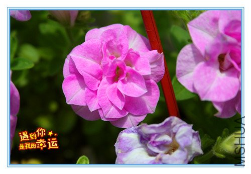 ��Ƭ 036_����.jpg