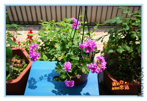 ��Ƭ 068_���������� .jpg