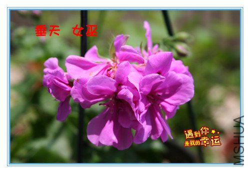 ��Ƭ 069_�������� Ů��.jpg