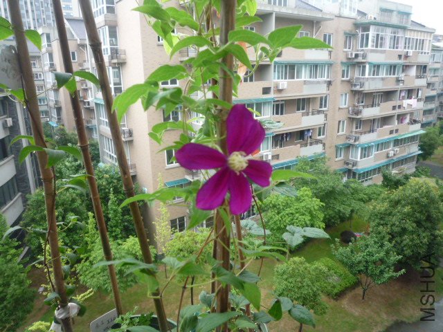 P1050610.JPG