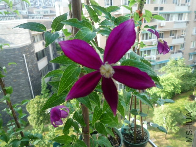 P1050791.JPG