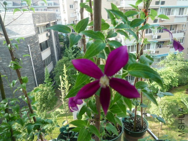 P1050800.JPG