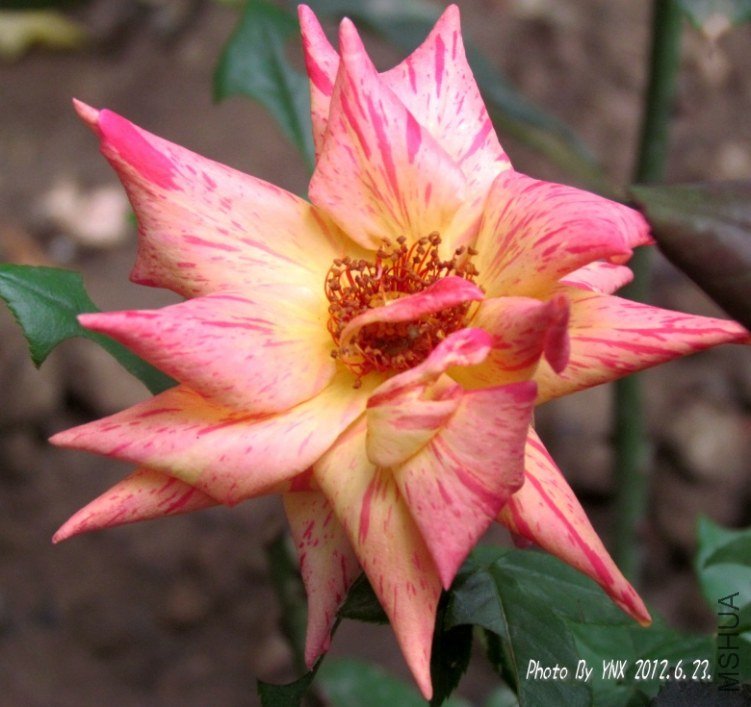 2012.6.23. 040_conew1.jpg