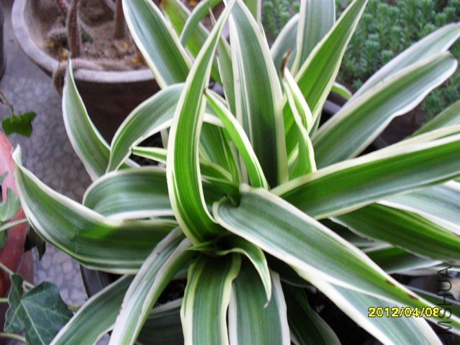 psbCAPIAQ8I.jpg