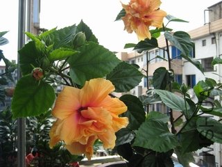 ��Ƭ 018.jpg