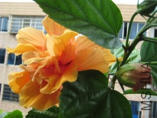 ��Ƭ 020.jpg