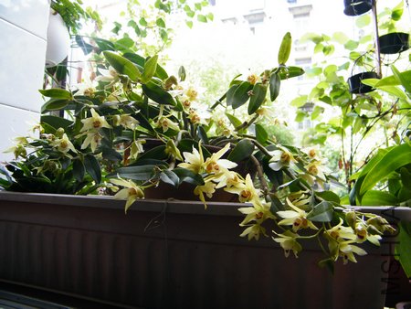 ��Ƥ20120531 001.jpg