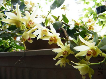 ��Ƥ20120531 004.jpg