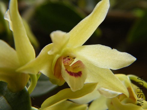 ��Ƥ20120531 006.jpg