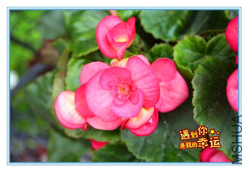 ��Ƭ 040_����2.jpg