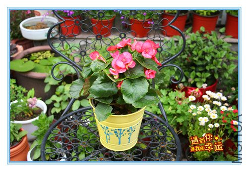 ��Ƭ 039_������1.jpg