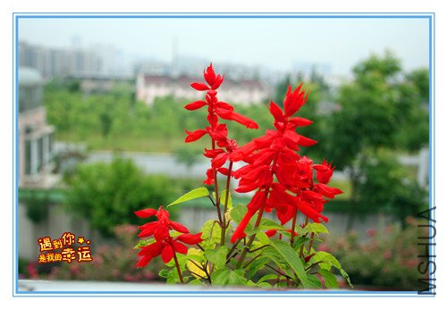 ��Ƭ 141_������2.jpg