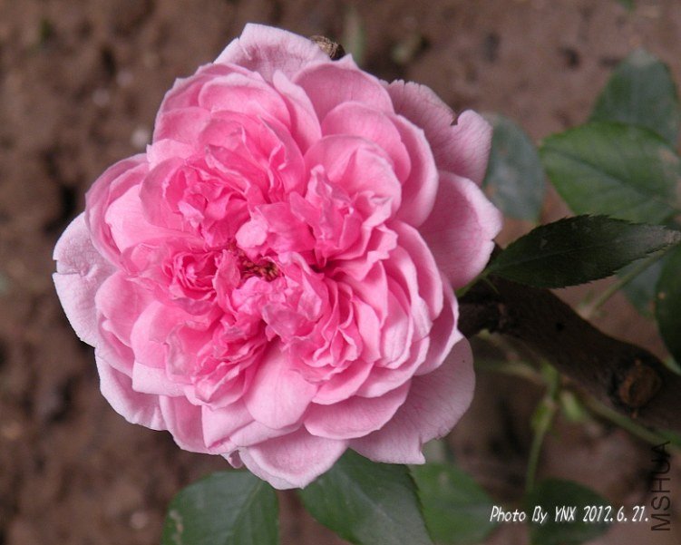 2012.6.21. 012_conew1.jpg