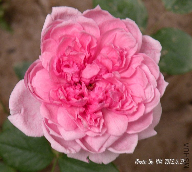 2012.6.21. 010_conew1.jpg