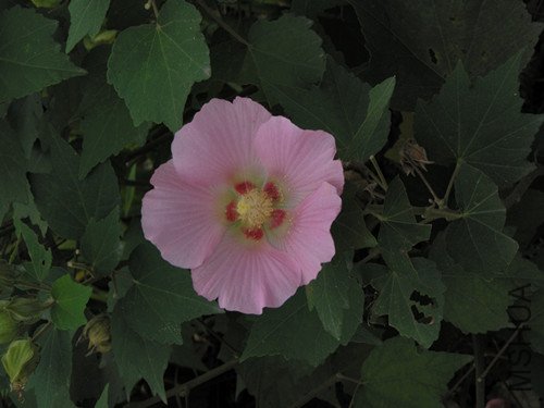 P9120027_����.jpg