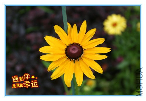 ��Ƭ 085_����.jpg