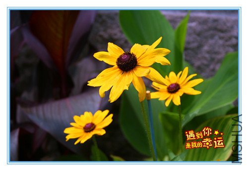 ��Ƭ 022_����_����.jpg