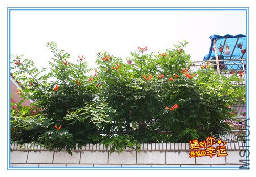 ��Ƭ 009_����_����.jpg