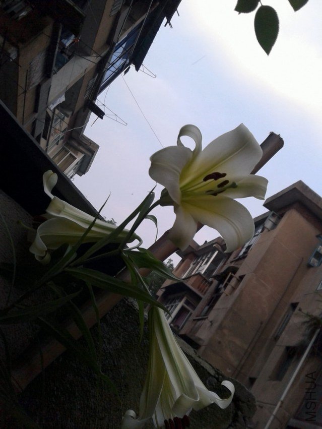 2012-06-17 19.12.24.jpg