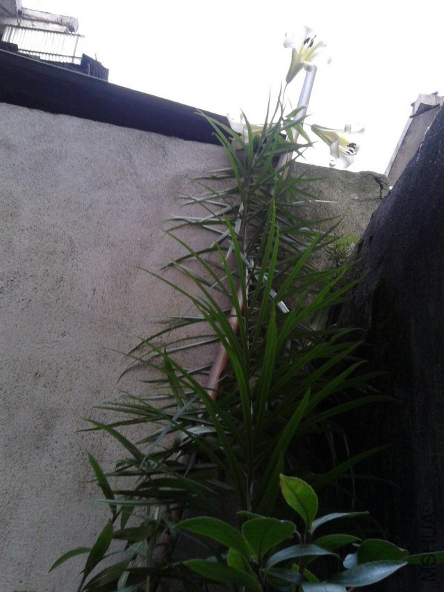 2012-06-17 19.12.54.jpg