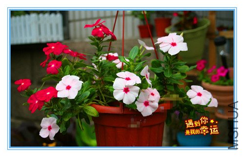 ��Ƭ 033_����.jpg